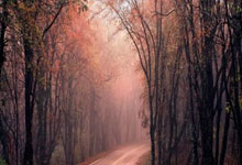 B体育官网:佩莱格里尼:终于获得德比胜利;球队的目标是欧冠资格.