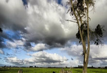 冠军|走近赵继伟:重新定义天赋,天才攻击手的蜕变.