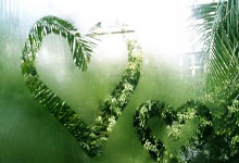 B体育官网:08年小牛7换1得到基德,那时送走的球员发展如何?一人躺着赚钱.