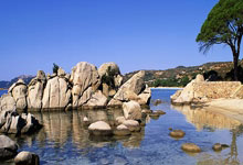 B体育官网:西甲:巴塞罗那三球完胜奥萨苏纳.